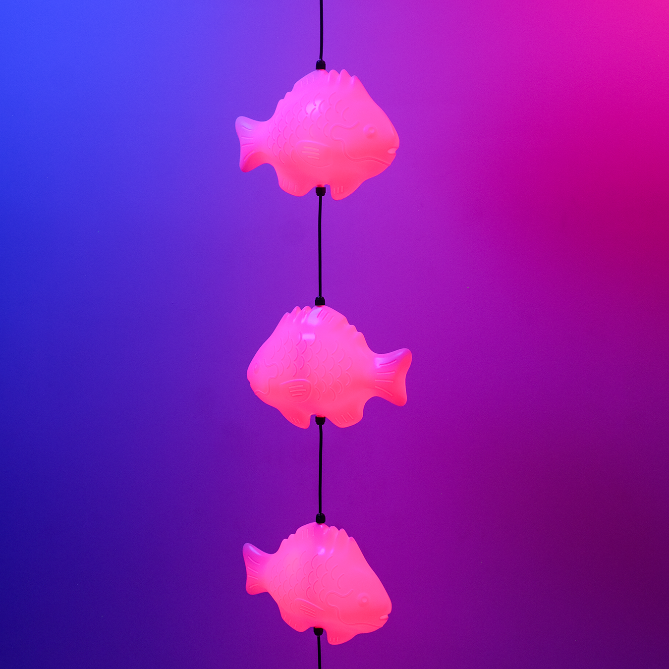 Fish Lamp
