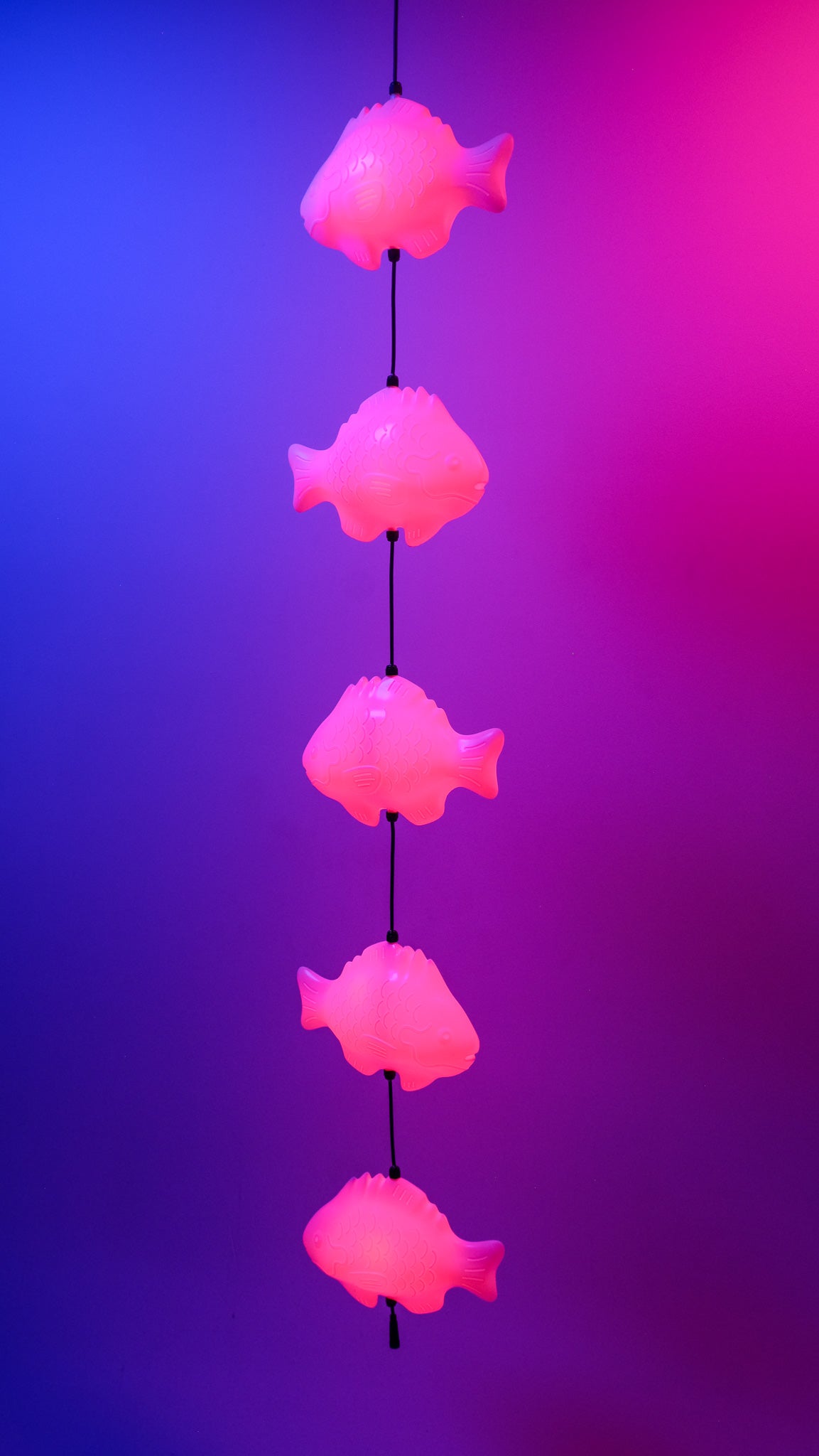 Fish Lamp