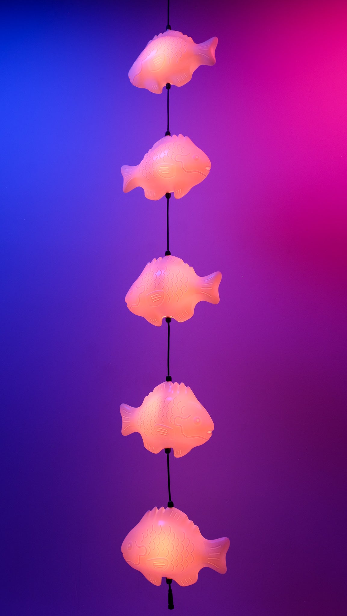 Fish Lamp