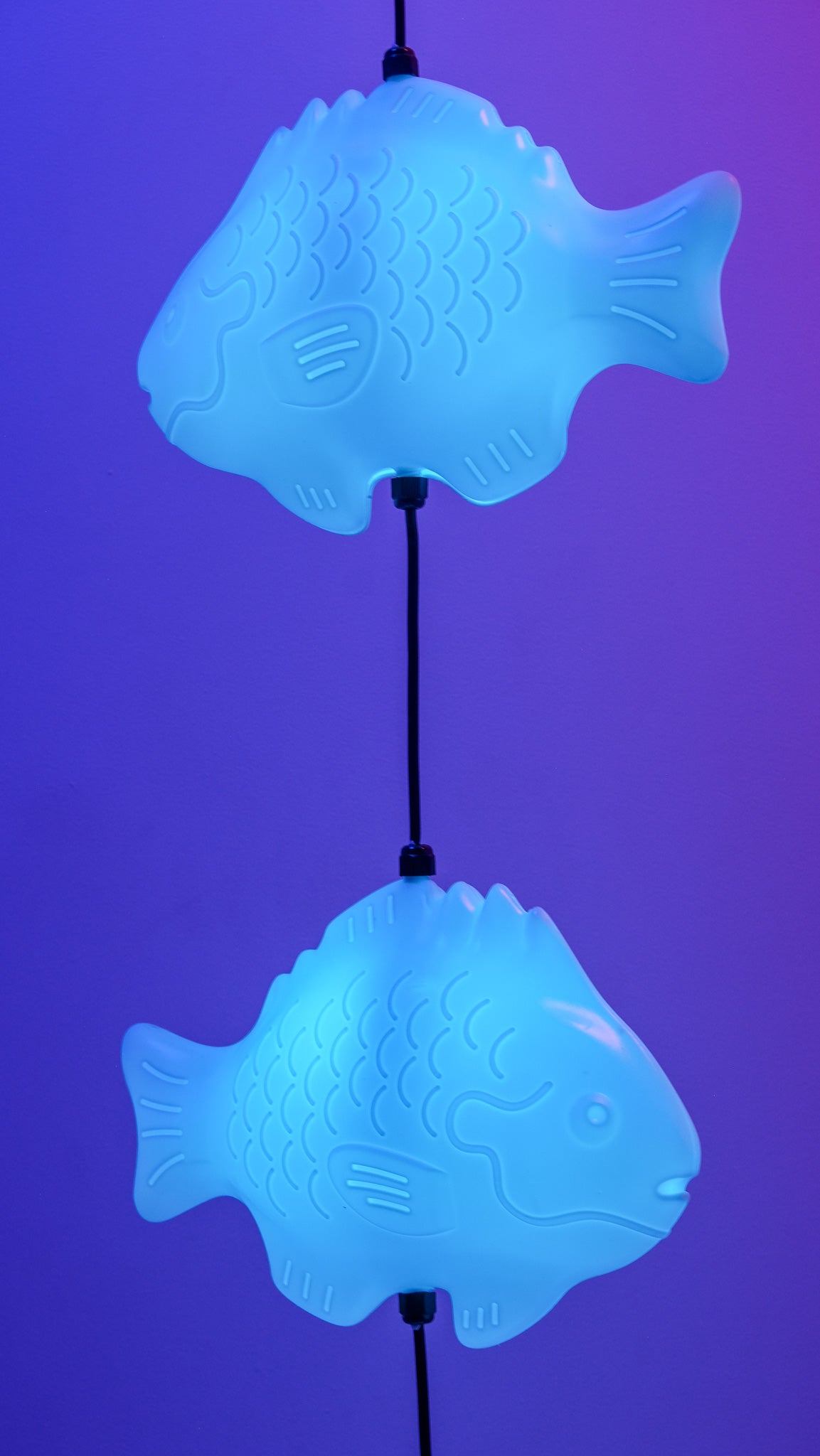 Fish Lamp