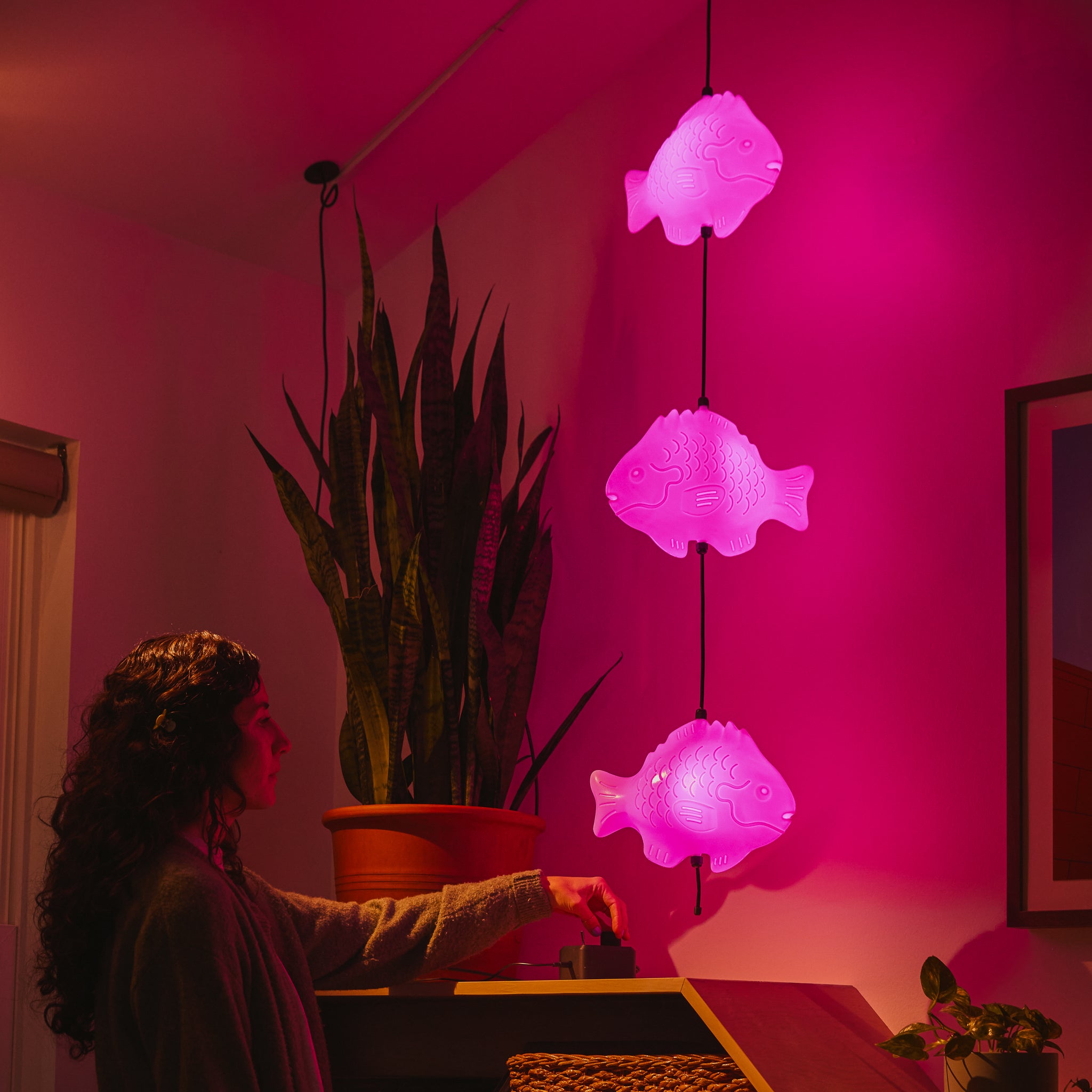 Fish Lamp – Waller Creek High