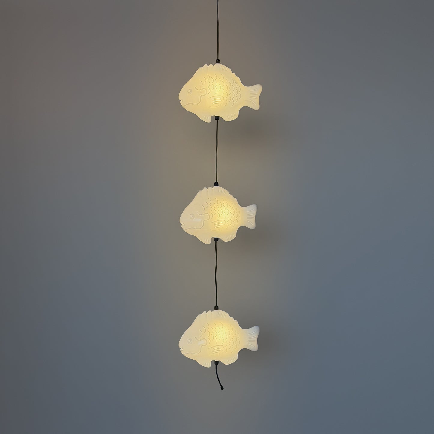Fish Lamp