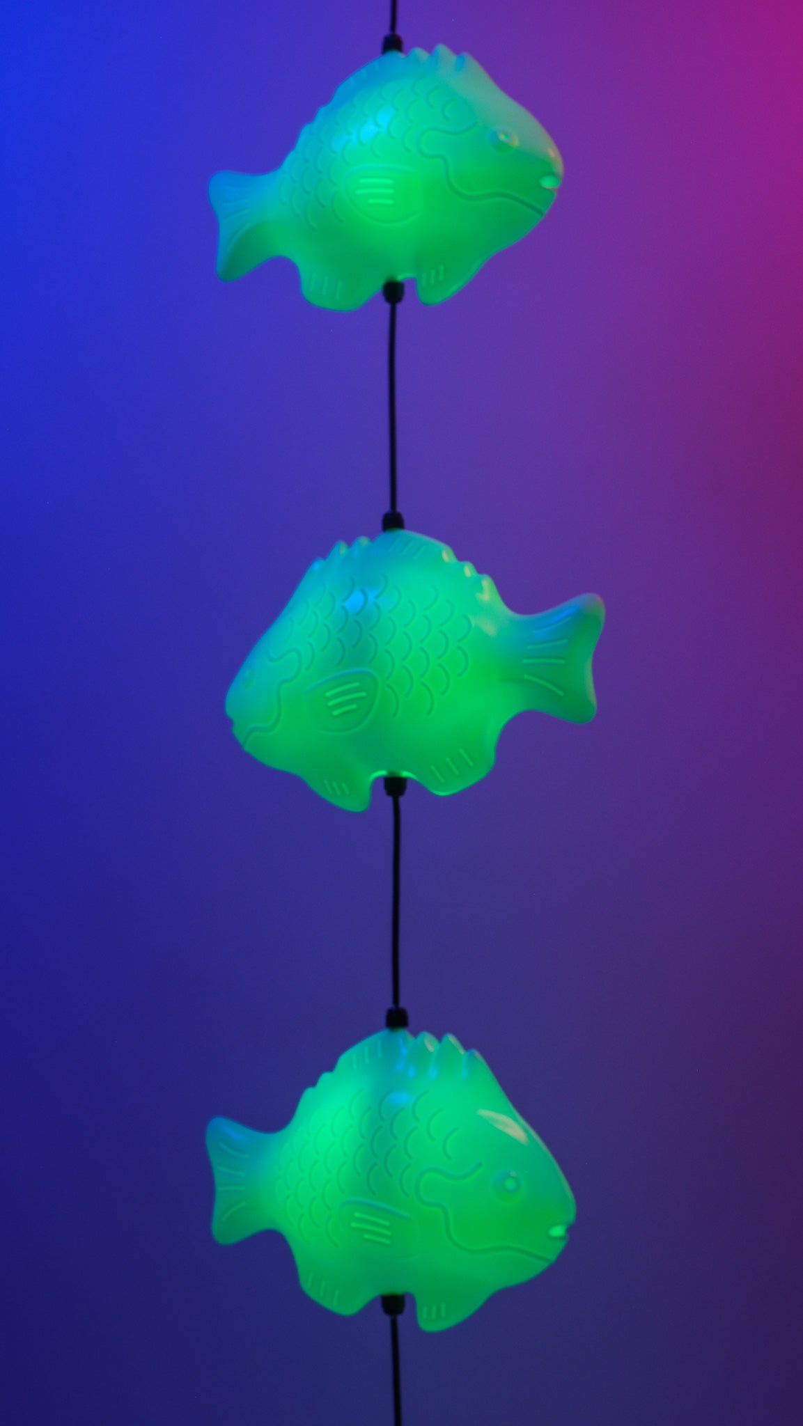 Fish Lamp