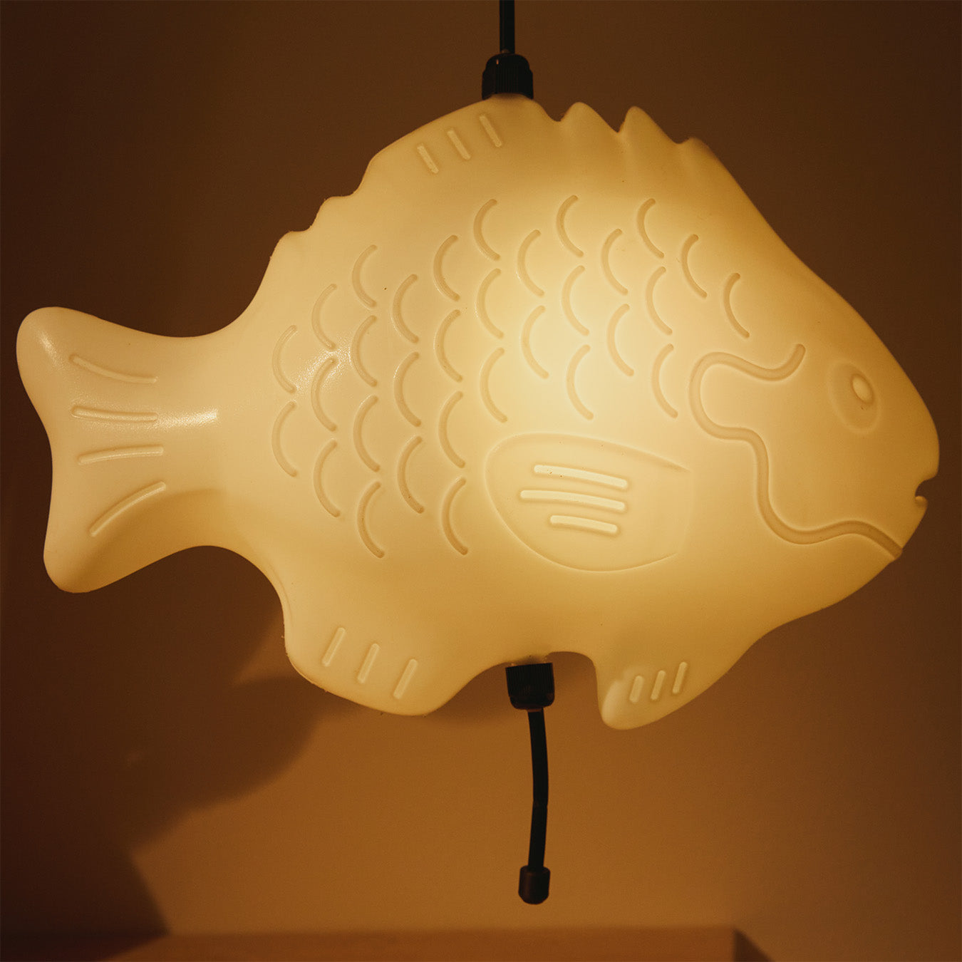 Fish Lamp