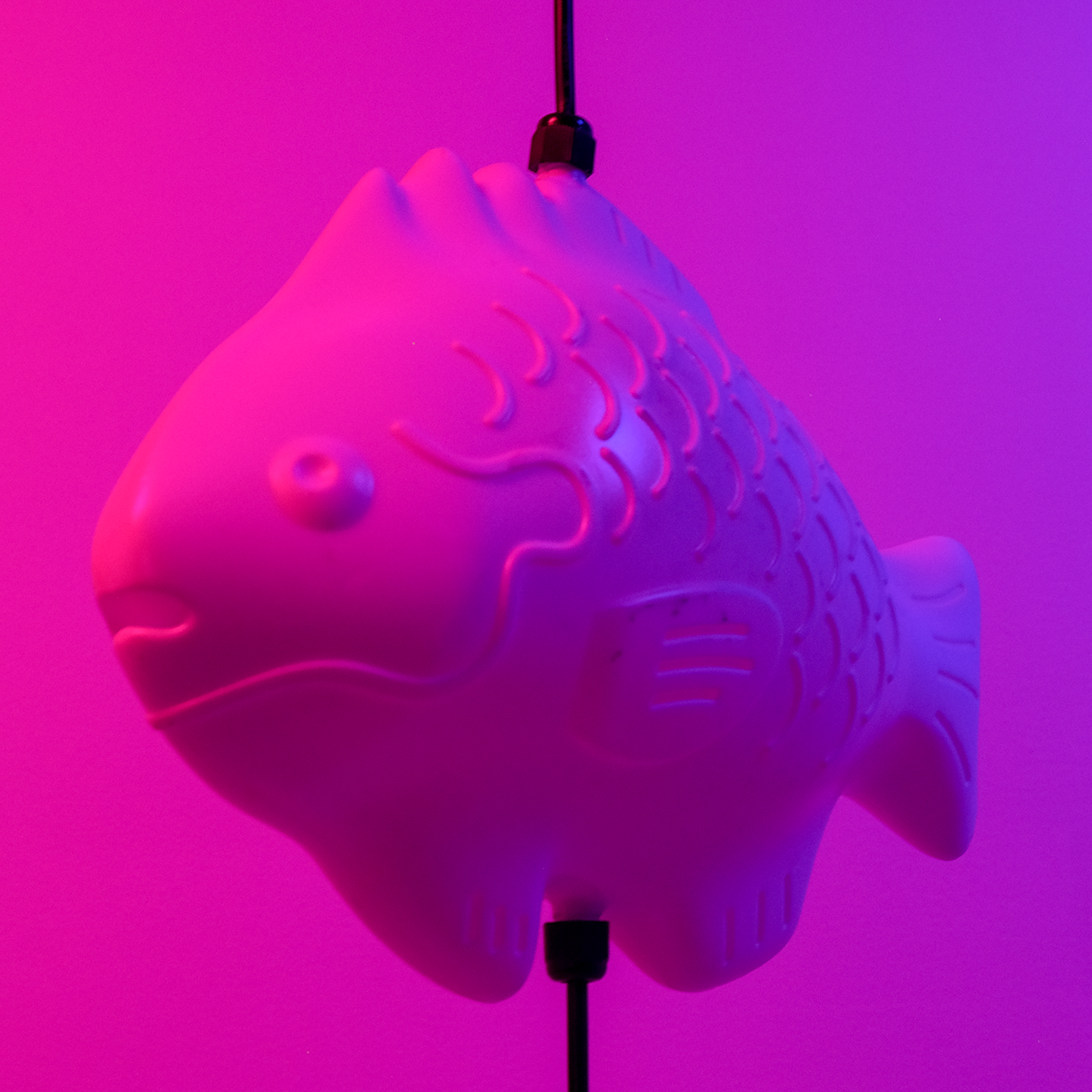 Fish Lamp