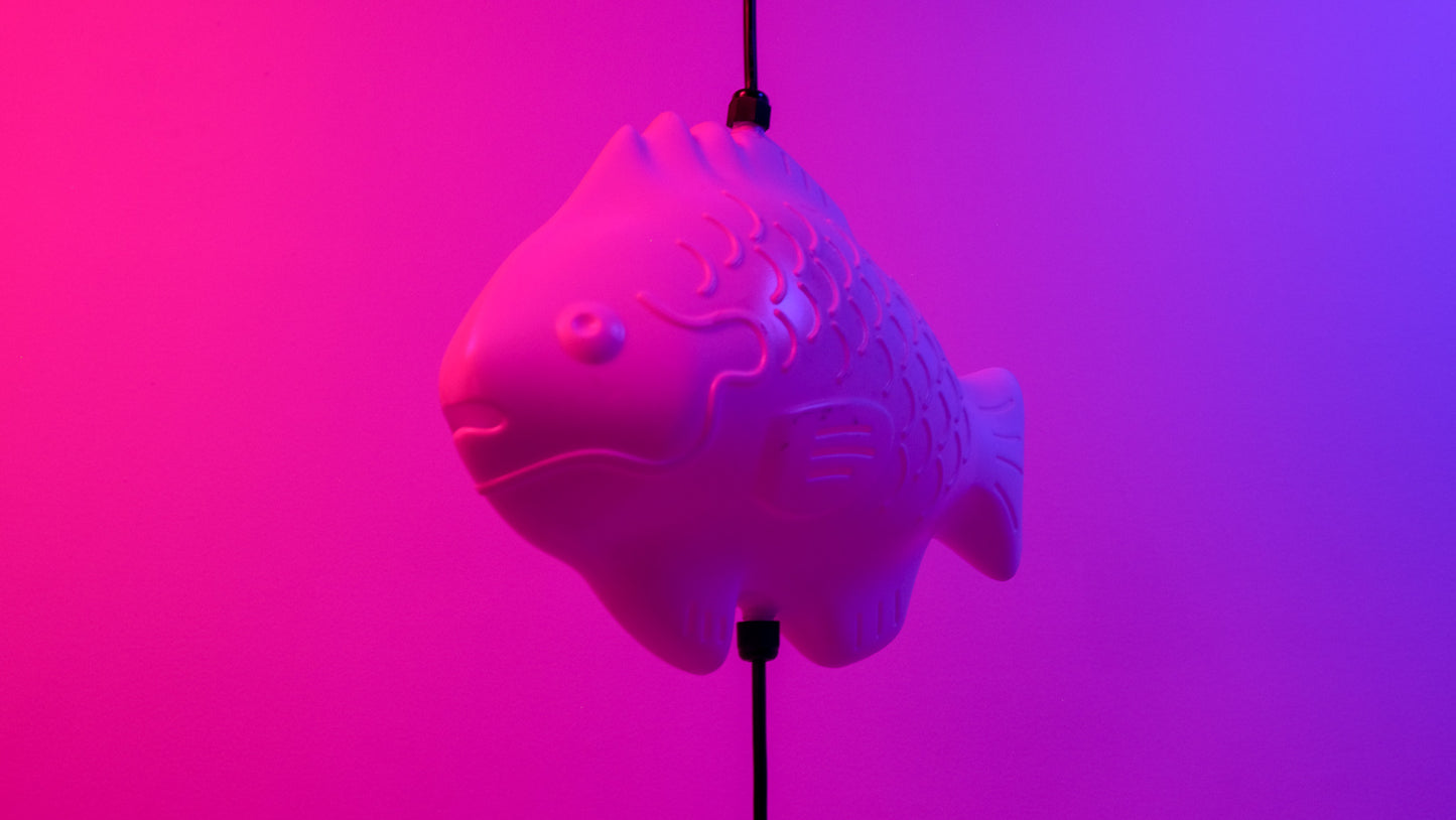 Fish Lamp